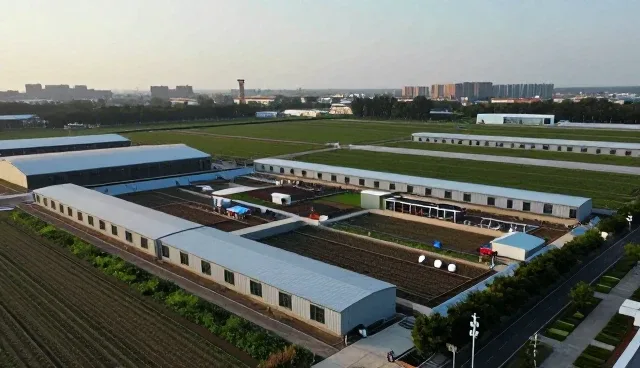 系统兼容性问题的常见表现与应对策略
